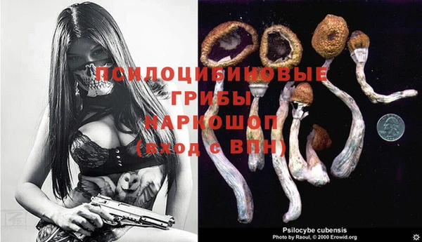тгк Алексин