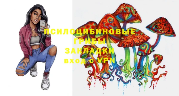 тгк Алексин