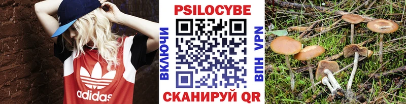 Псилоцибиновые грибы Cubensis  закладки  Урюпинск 
